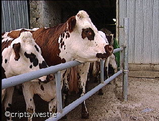 agriculteur12.jpg