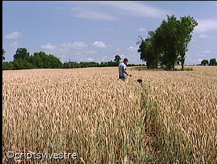 agriculteur4.jpg