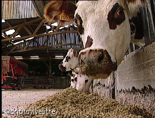 agriculteur8.jpg
