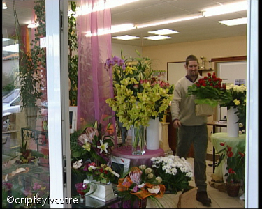fleuriste2.jpg