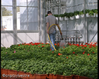 horti10.jpg