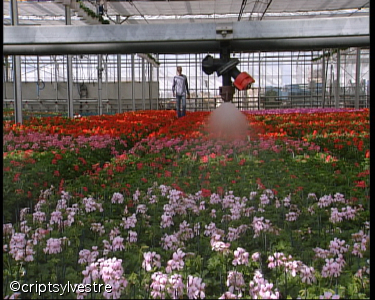 horti14.jpg