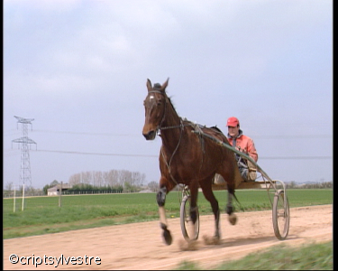 lad_jockey10.jpg