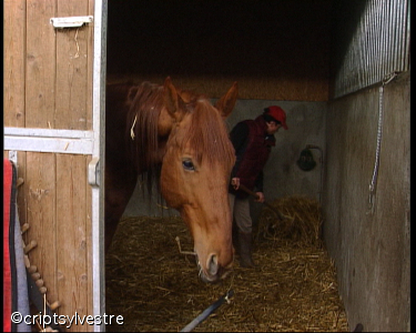 lad_jockey3.jpg