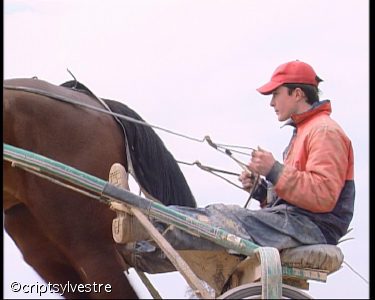 lad_jockey8.jpg