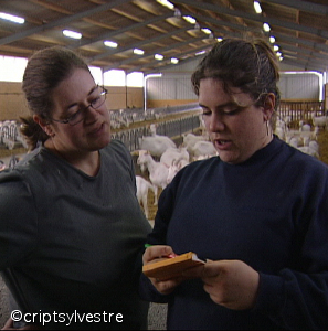 salariee_agricole3.jpg