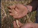 agriculteur3.jpg