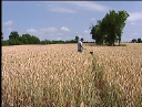agriculteur4.jpg
