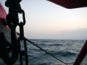 dsc02255.jpg