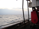 dsc02256.jpg