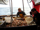 dsc02269.jpg