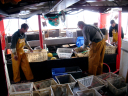 dsc02275.jpg