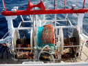 dsc02323.jpg