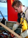 dsc02340.jpg