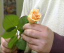 fleuriste.jpg