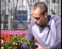 horti12.jpg