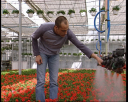horti15.jpg