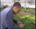 horti7.jpg