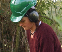 jev3.jpg