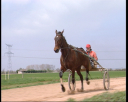 lad_jockey10.jpg