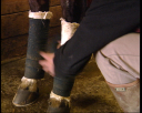 lad_jockey4.jpg